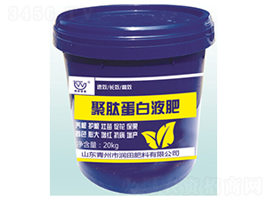 ���ĵ���Һ��-�������