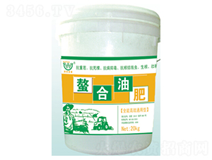 ��Чͨ���������ͷ�-�������