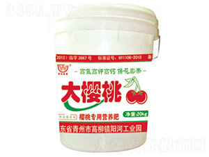 ���Ҍ��àI�B(y��ng)��-�����-�������