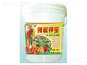 ����⛌�-�������