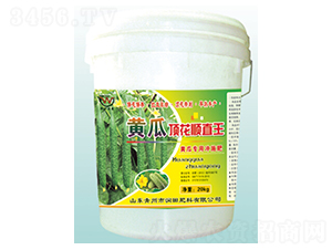 �S��픻��ֱ��-�������