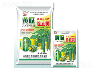 ����ֲ��ˮ�ܷ���-�S�ϴ�ֱ�`-�������