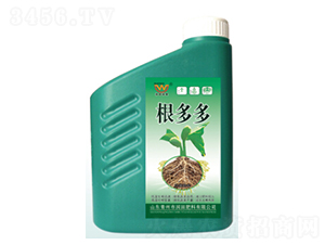 �����-�������