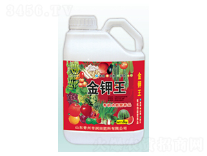 �����-�������