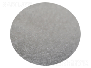 ����⛣����I(y��)����-���뻯��