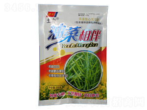 �Ͳ����-�����ʘI(y��)