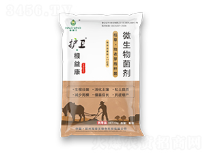 �o�l(w��i)�����濵-���G��