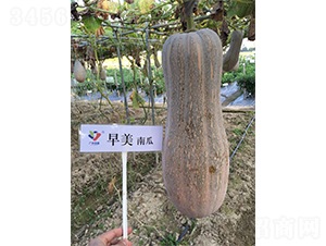 ��������1̖(h��o)-�ϹϷN��-�V�݁���