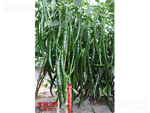 ����201-�����N��-�V�݁���