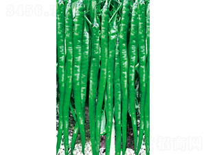 ����7626-�����N��-�V�݁���