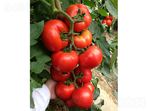 ������-���ѷN��-�V�݁���