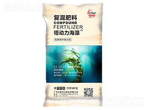 ���徫�A�����͏�(f��)�����15-15-15-����(d��ng)������-������