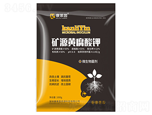 �VԴ�S�����-���R��