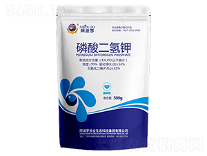 ��������-�����_