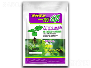 �S�~����һ���G-�G�Ø�(l��)-�����ʘI(y��)