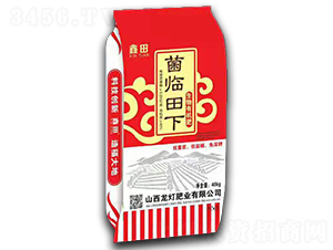 �����ЙC(j��)��-���R����-�����ʘI(y��)