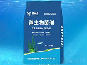 10kg΢�������-�Ŀ���