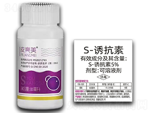 Ƥ����-S-�T����-�r�_����