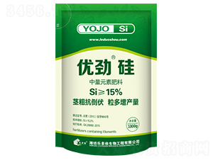 ��(y��u)�Ź�-������