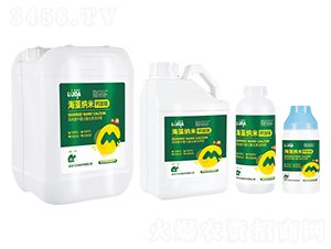 ����{���}�V-�G���}-������