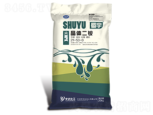 ���w���@21-53-0-����-���_(d��)����