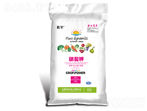 �����-����-���_����