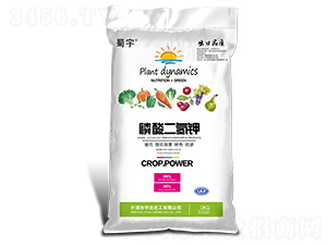 ��������-����-���_����