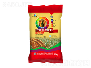 ���ӌ��ÿ�ጓ������24-10-12-�������ʘI(y��)