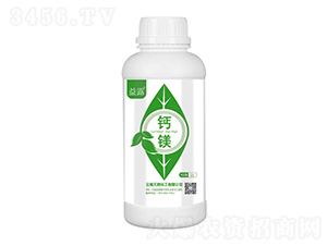 �}�V-��¶-���컯