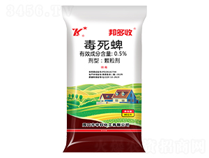 �������w����-�����-�пƻ���