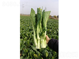 �_(t��i)��(y��u)һ̖(h��o)�����-����ķN��-�r���N��