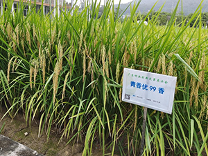 ���マ(y��u)99��-ˮ���N��-�r���N��