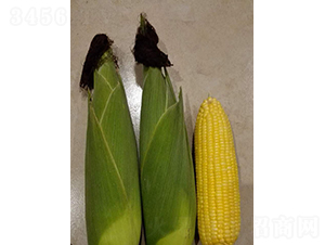 ����28-���׷N��-�r���N��