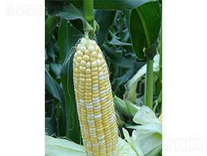 �����r��-���׷N��-�r���N��