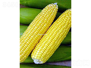 ��������-���׷N��-�r���N��