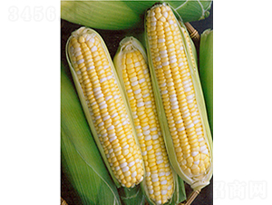 ��������-���׷N��-�r���N��