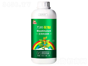 ����̼���-�f���-�f������