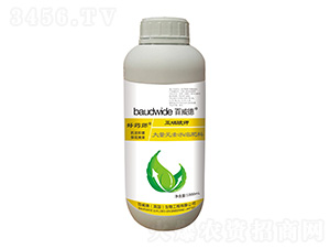 �������-��ˎ��-������