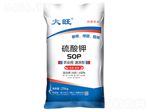 �r(n��ng)�I(y��)�������������-���ϻ���