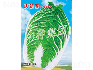 �c�´�-�ײ˷N��-�зN���F(tu��n)