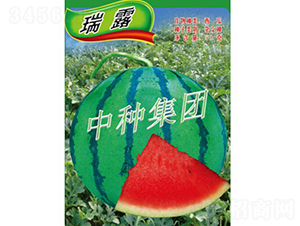 ��¶-���ϷN��-�зN���F(tu��n)