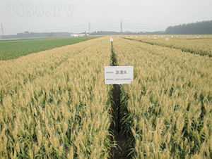 ����6̖(h��o)-С���N��-�зN���F(tu��n)