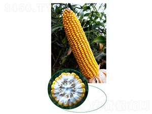 �L��315-���׷N��-�зN���F(tu��n)