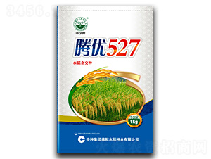 �v��(y��u)527-ˮ���N��-�зN���F