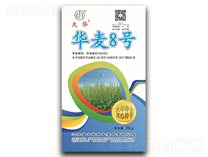 �A��8̖(h��o)-С���N��-���A�N�I(y��)