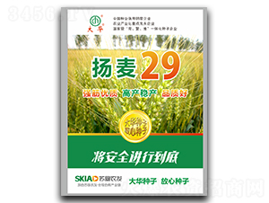 �P(y��ng)��29-С���N��-���A�N�I(y��)