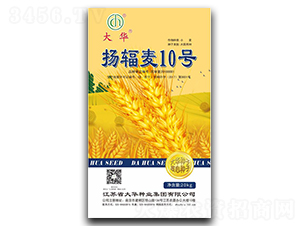 �P(y��ng)ݗ��10̖(h��o)-С���N��-���A�N�I(y��)