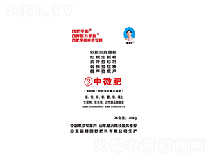 ����ø����΢��Ԫ��ˮ�ܷ���-3̖��΢��-ϲ�G���S