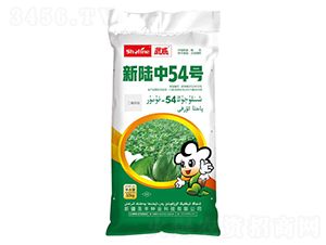 �����54̖(h��o)-�޻��N��-ʥ�S�N�I(y��)