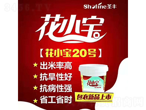 ��С��20-�����N��-ʥ�S�N�I(y��)